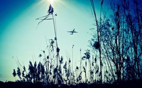 经营好婚姻的方法，学会这几招让爱情持久保鲜