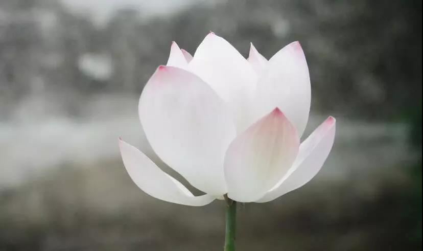 感觉老公不爱我了，不知道该怎么走下去，想要离婚怎么办