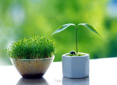 下降星座什么意思 下降星座代表什么