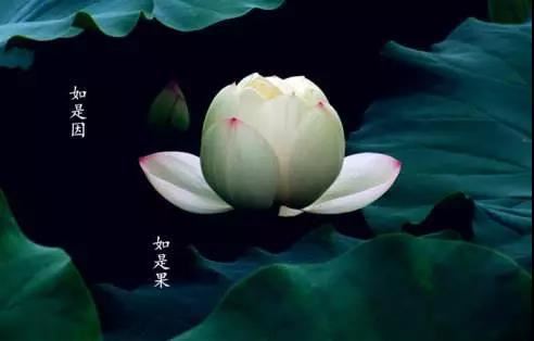 童子煞的含义 和一般的童子也有这样的区别