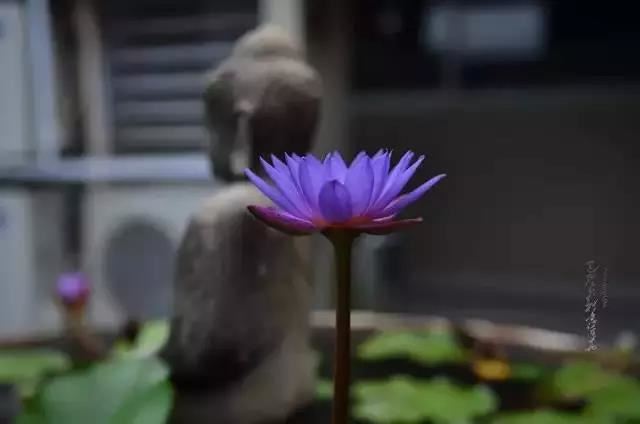 前女友又新欢了还怎么挽回  试试从朋友开始