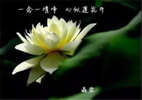 做和合术会有报应吗?和合术的报应是什么?