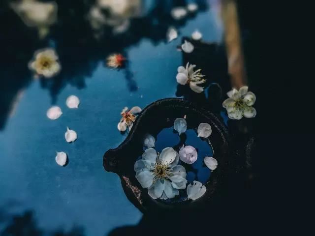 灵婴真的存在吗?古代有灵婴吗?