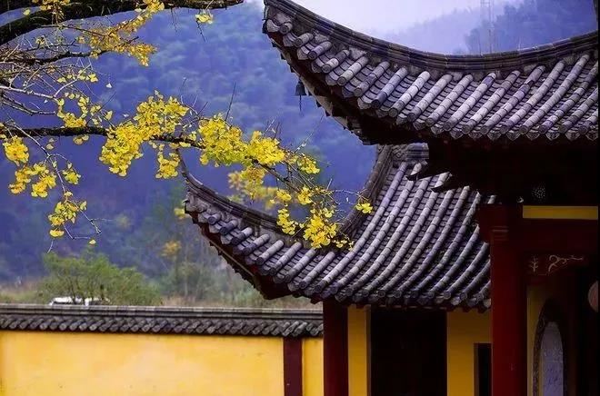 太上救苦经,救苦真经,太乙救苦真经全文