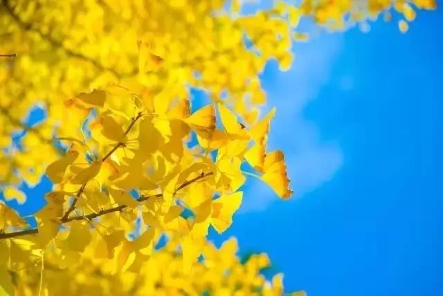 广东省高州超度亡灵2,探访高州民间的超度信仰