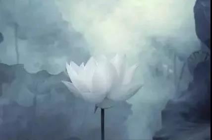 总是失败不想挽回婚姻，屡战屡败怎么办