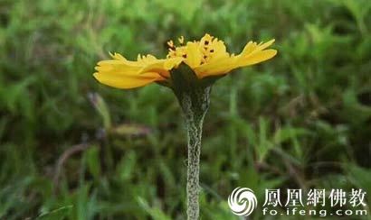 堕胎婴灵的牌位怎么写