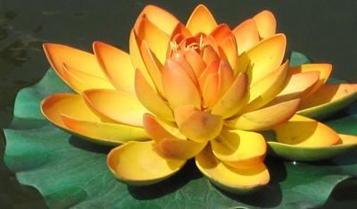 生意突然不好怎么破煞 师傅告诉你答案