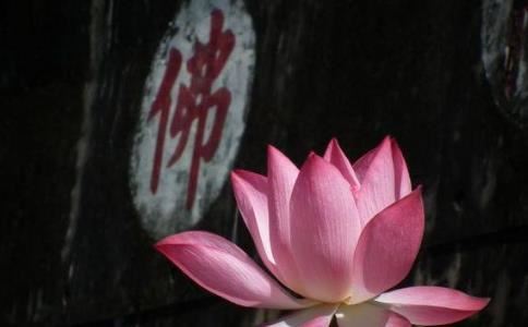 回心转意符有用吗?回心转意符的作用效果介绍