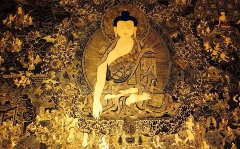 种生基费用多不多，应该如何选择