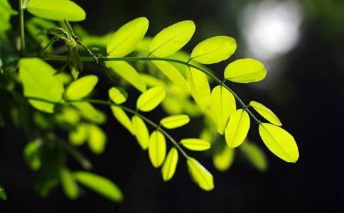 挽回爱情做法 教你一步步挽回心爱之人