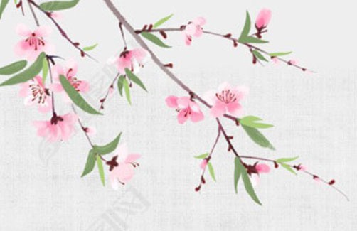 卯申暗合夫妻宫 干支暗合是什么意思