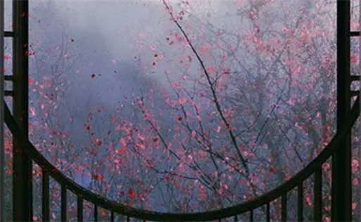 天同红鸾在夫妻宫 天同星坐夫妻宫好不好