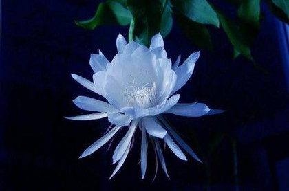 六爻硬币起卦解卦