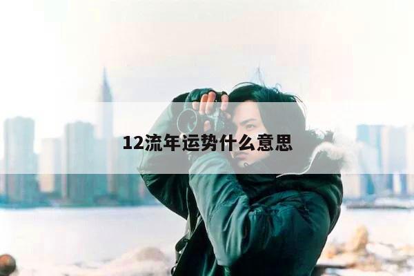 12流年运势什么意思