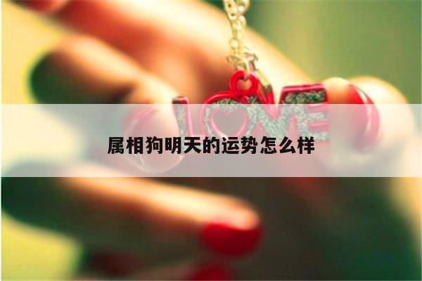 属相狗明天的运势怎么样