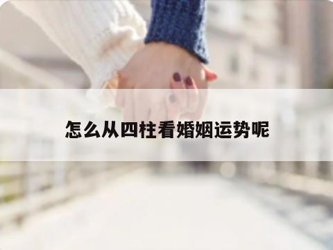 怎么从四柱看婚姻运势呢