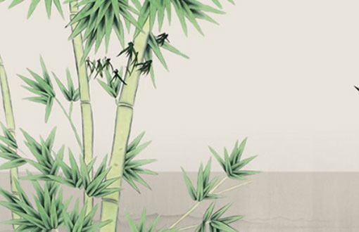 车牌号码吉凶分析 选号吉利的做法