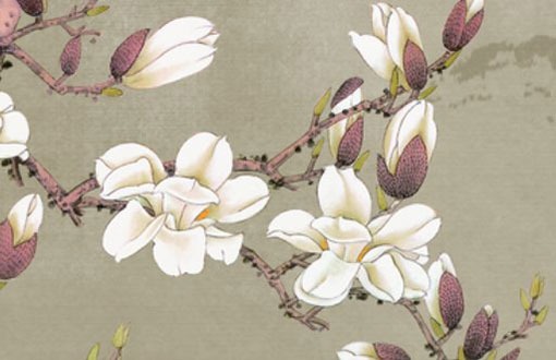 车牌号码选什么数字比较好 选车牌号的三大讲究