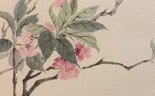 属鼠的几点出生有福气 上午七点出生的属鼠人有计谋