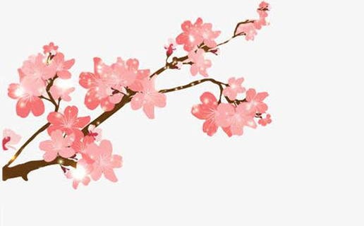 女子生在午时命好不好 何时出生的女人最享福