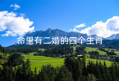 命里有二婚的四个生肖会再婚的人