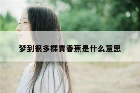 梦到很多棵青香蕉是什么意思