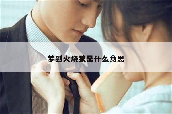 梦到火烧狼是什么意思