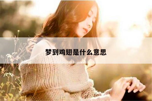 梦到鸡翅是什么意思