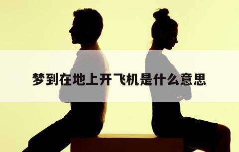梦到在地上开飞机是什么意思