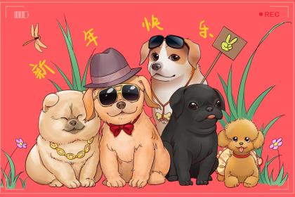 属狗在交往中有着怎样的“洁癖”倾向