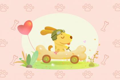 属狗看恐怖片会是什么反应