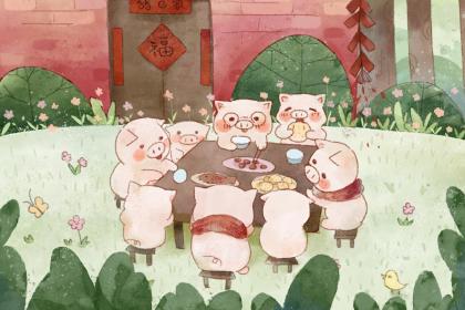 属猪人是什么天才