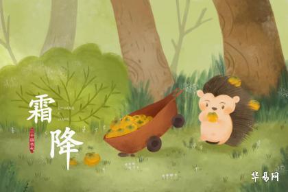 兔年霜降出生的孩子命好不好？性格有什么特点