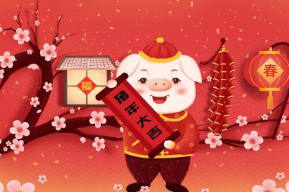 属猪人的生肖贵人是谁什么属相
