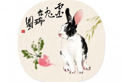 属兔女人有什么缺点