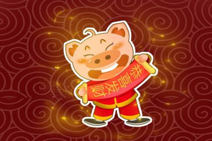 属猪人应注意哪些养生