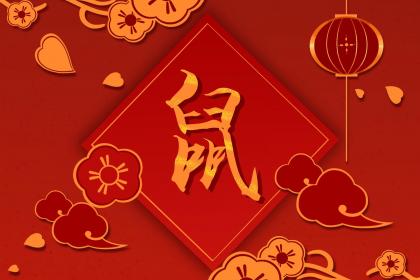 为属鼠爸爸选礼物