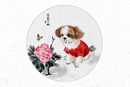 属狗人有了难言之隐会怎么处理