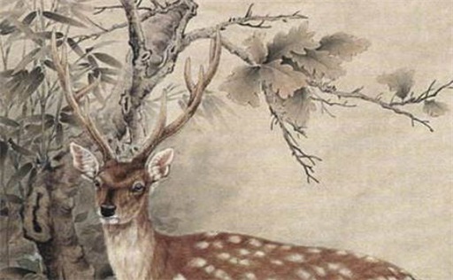 手机尾号双数好还是单数 选择手机号码有什么讲究