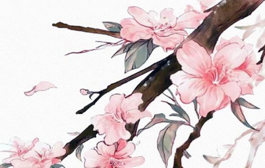 学业好的人手相都有什么特点 节节升高有学识有涵养