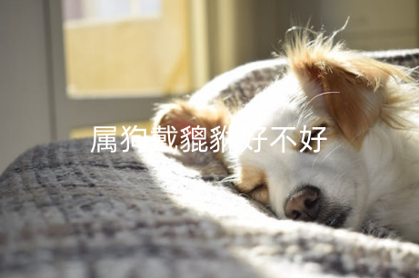 属狗戴貔貅好不好 生肖狗带什么会好运