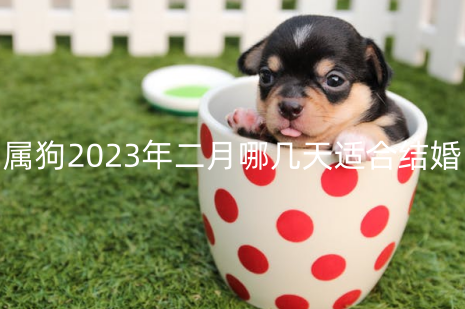 属狗2023年二月哪几天适合结婚 属狗结婚忌什么属相