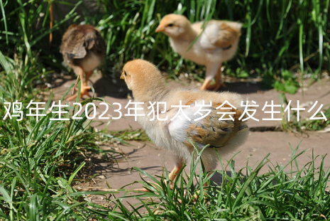 鸡年生2023年犯太岁会发生什么 属鸡发横财的年龄