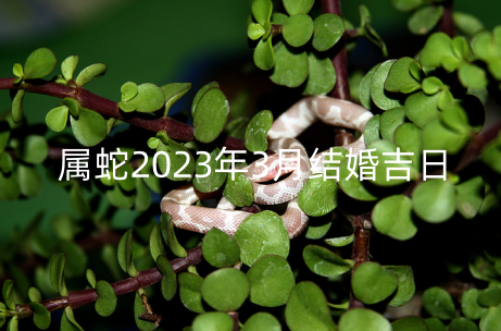 属蛇2023年3月结婚吉日 属蛇的姻缘差吗