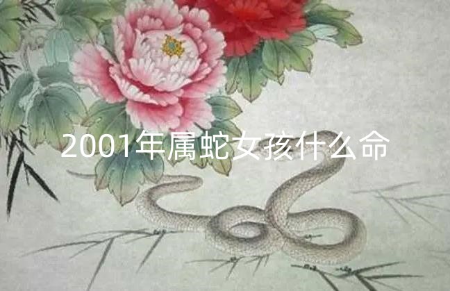 2001年属蛇女孩什么命 2001年属蛇女孩几月出生最好