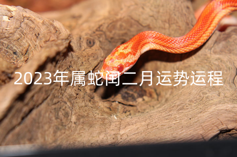 2023年属蛇闰二月运势运程 属蛇的幸运密码