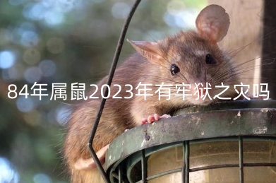 84年属鼠2023年有牢狱之灾吗 84年属鼠的在2023年的牢狱之灾如何化解