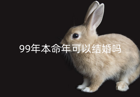 99年本命年可以结婚吗 属兔24岁姻缘