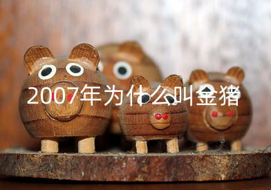 2007年为什么叫金猪 2007属猪的能考上重点大学吗